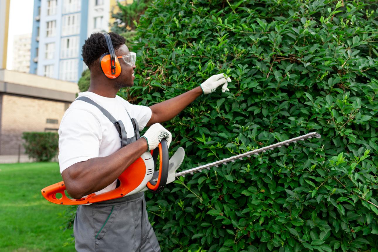 Hedge & Plant Trimming